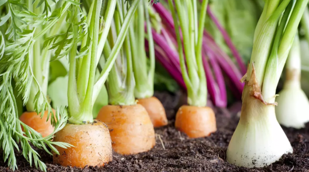 Как программа «Ауыл аманаты» помогает сельчанам в Карагандинской области