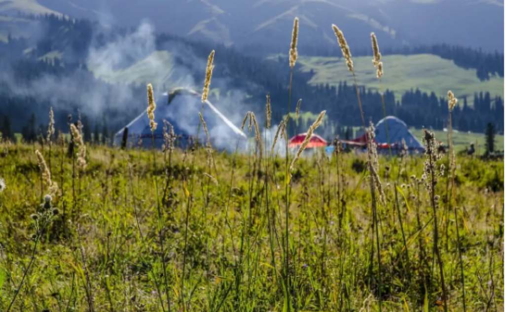 В Казахстане появятся новые виды оздоровительных школьных лагерей