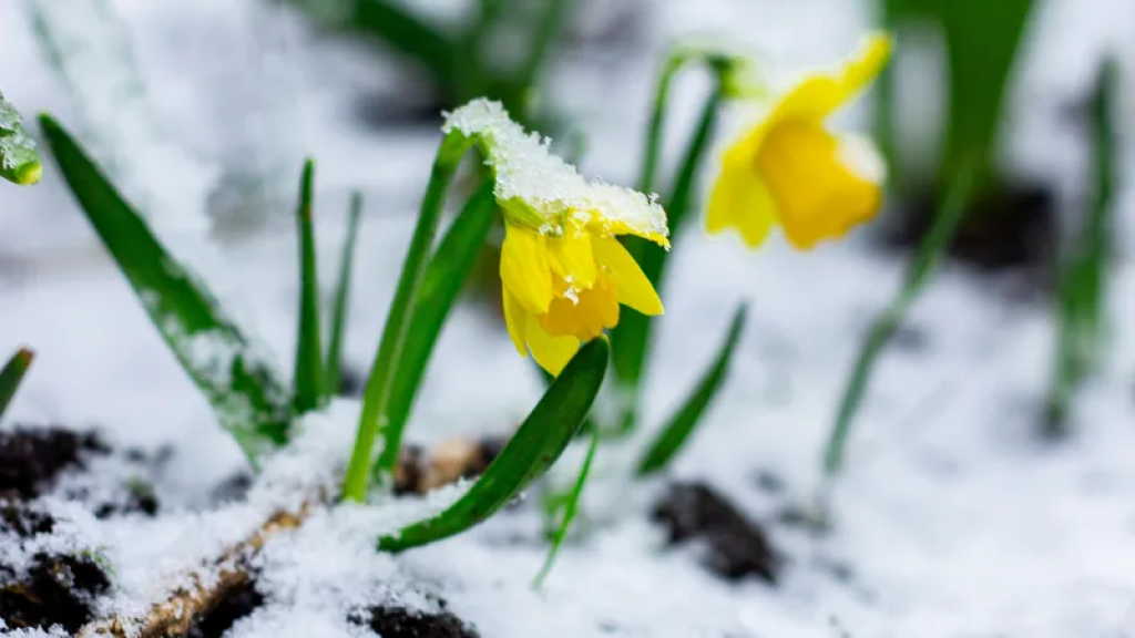 Поворот вспять: в Казахстан вернутся холода и снег