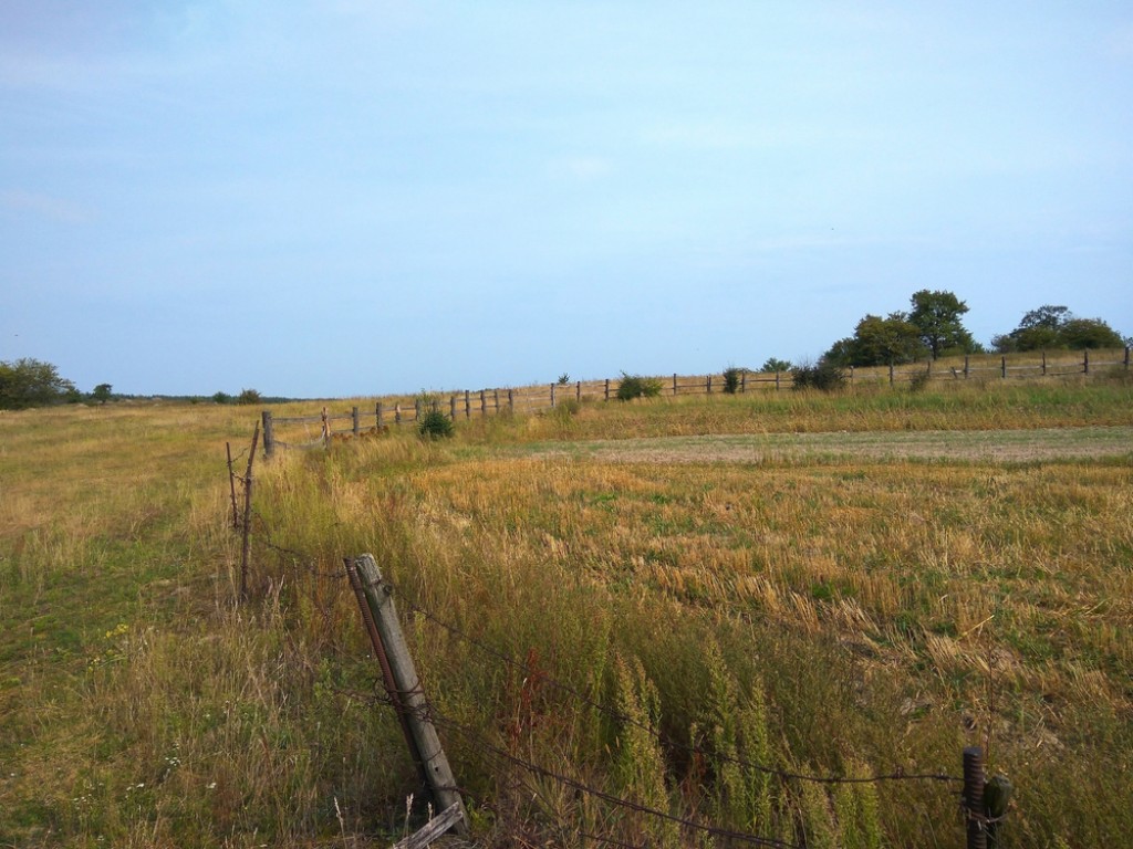 Карагандинка за 19 лет ничего не построила и лишилась участка