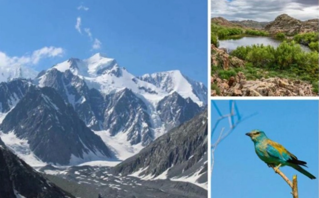 Казахстан принял Концепцию биоразнообразия на 2026–2035 годы