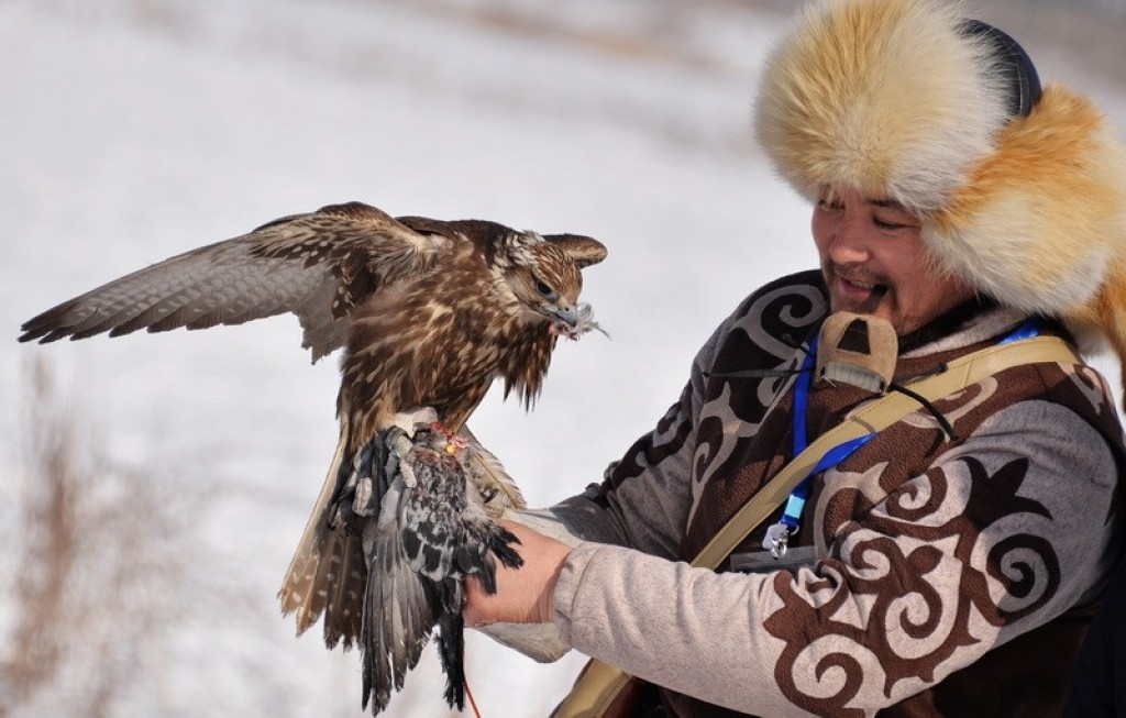 О правилах охоты с ловчими птицами или охотничьими собаками рассказали в Караганде