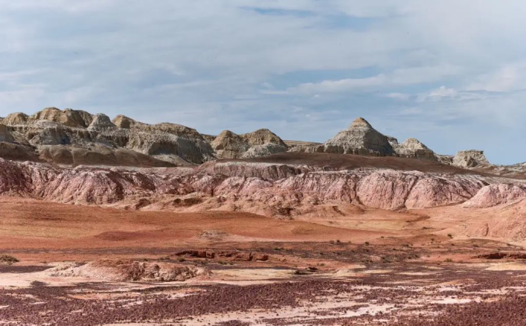 6 новых природоохранных учреждений создадут в Казахстане