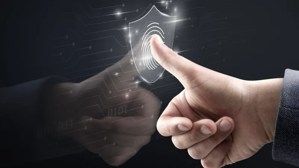 Налоговые органы будут использовать биометрию