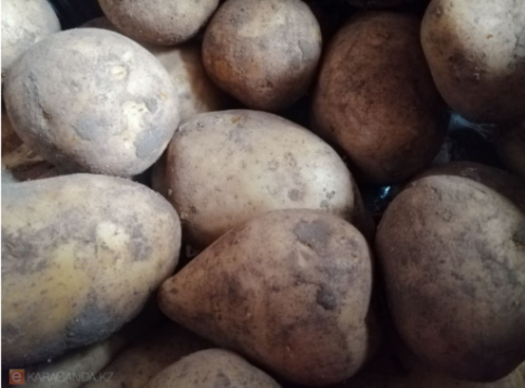 Что будет с ценами на картофель, спросили министра сельского хозяйства