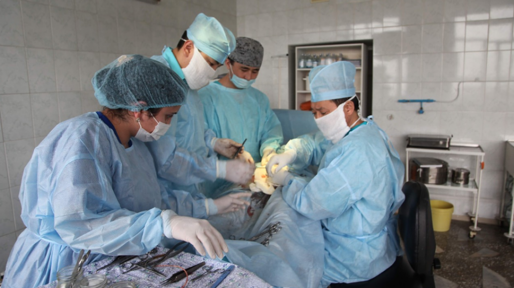 80% ожидающих трансплантацию казахстанцев нуждаются в донорской почке