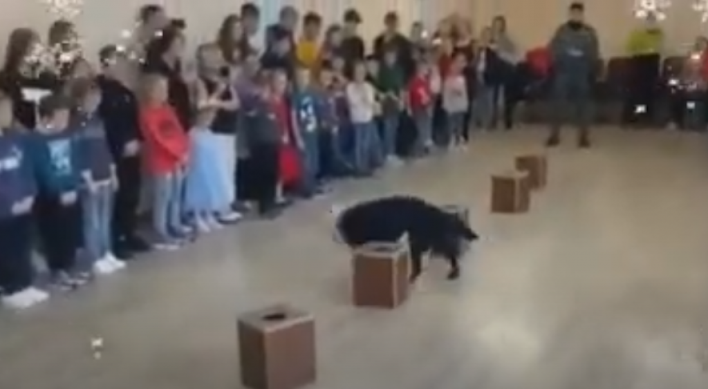 Кинологи из спецназа департамента полиции Карагандинской области устроили праздник для воспитанников Центра поддержки детей