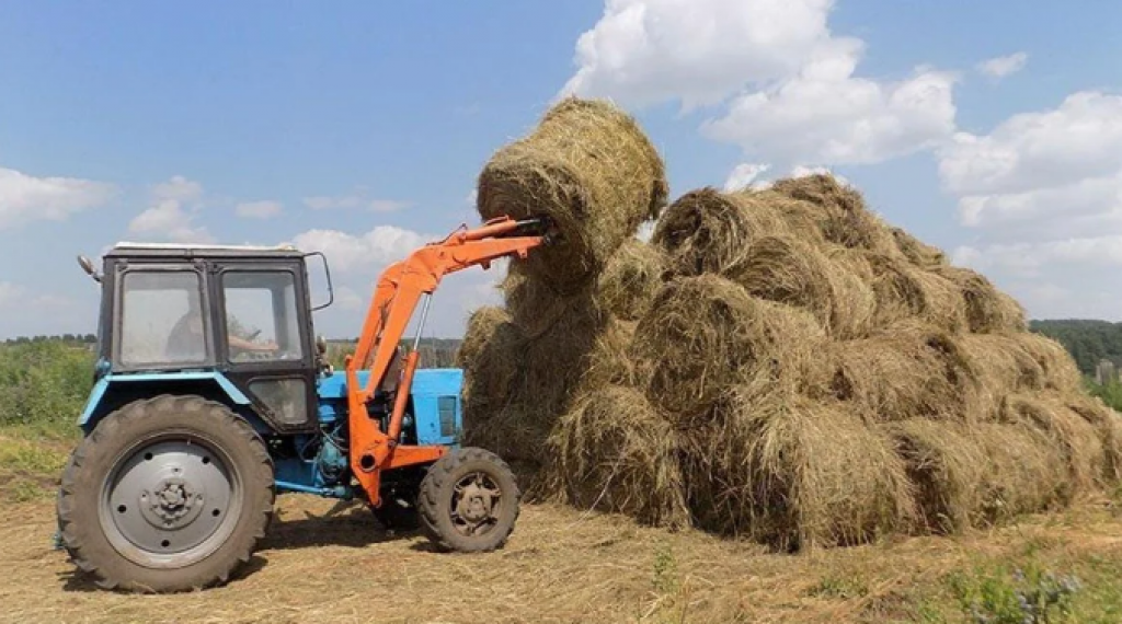 Более 20 млн тонн кормов заготовлено в Казахстане