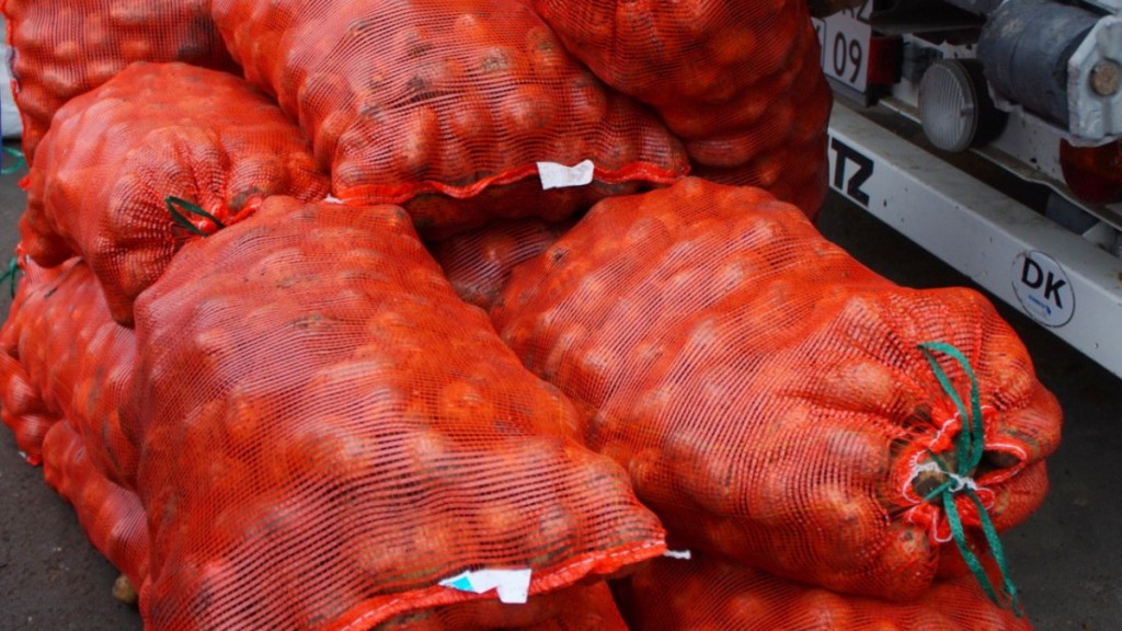 Дополнительные овощехранилища построят в Казахстане