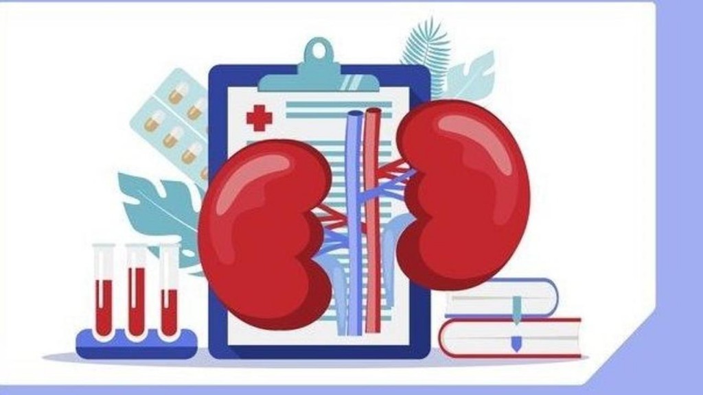 Дүниежүзілік бүйрек күні: қарағандылықтарды тегін консультациялар мен тексерулерге шақырады