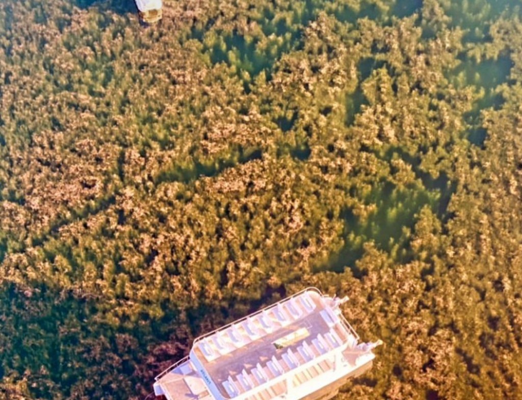 В Караганду надводный комбайн для очистки озера Центрального парка от водорослей доставят ближе к осени