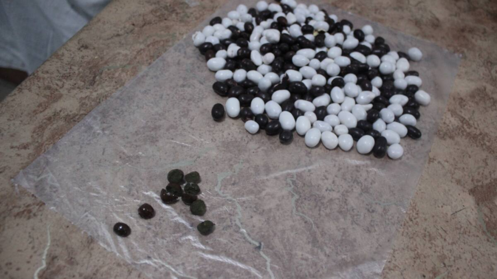 Наркотики в орехах пытались передать осужденному в карагандинскую колонию