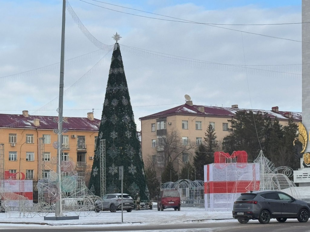 В Караганде завершают установку главной ёлки