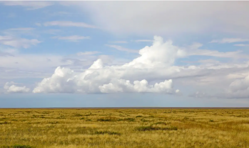 Земли почти на 5 млрд тенге вернули в госсобственность в Карагандинской области