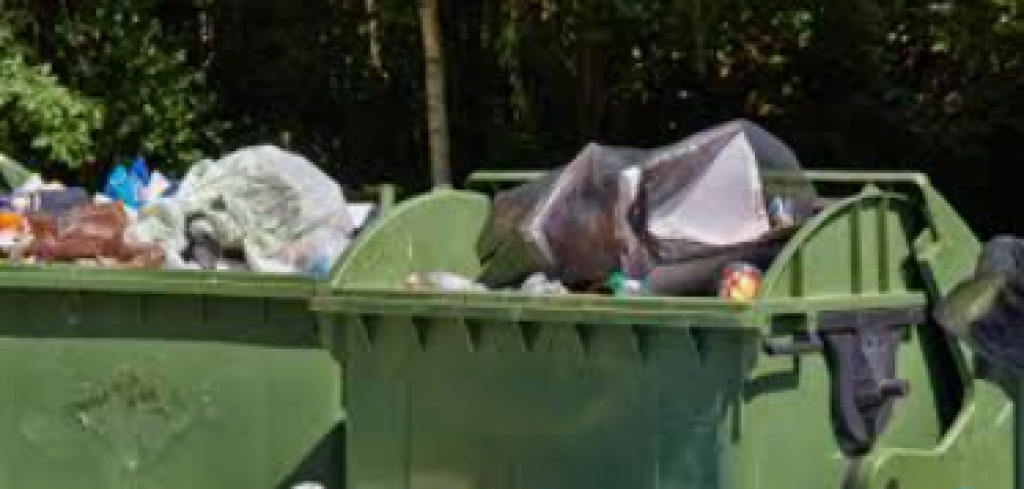 Пожаловаться на проблемы с благоустройством теперь можно через eGov mobile