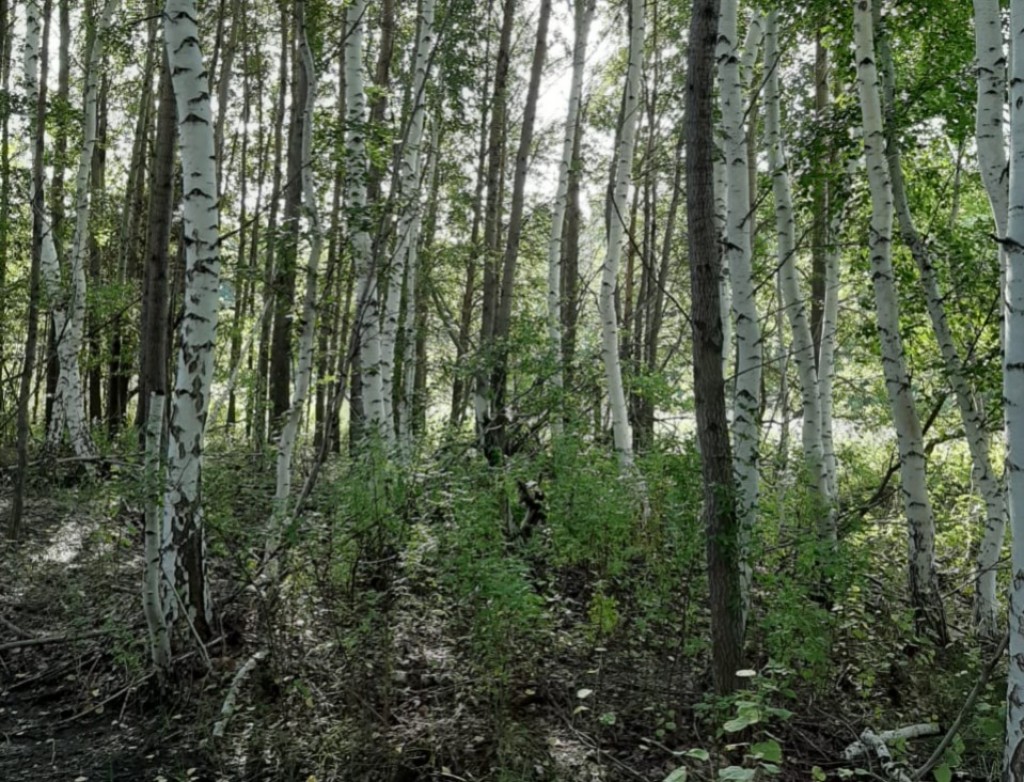 Жетілген әйелдердің қатысуымен ресейлік анальный порно қараңыз