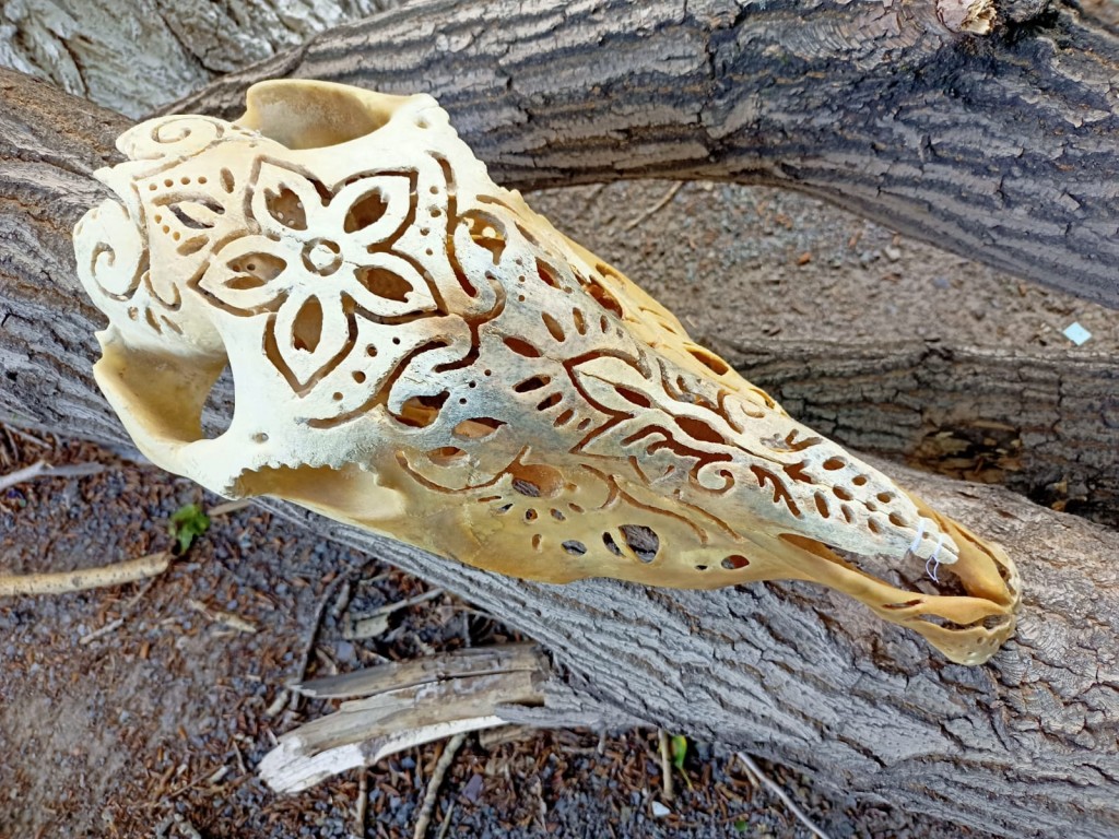 Стриппер жезөкше