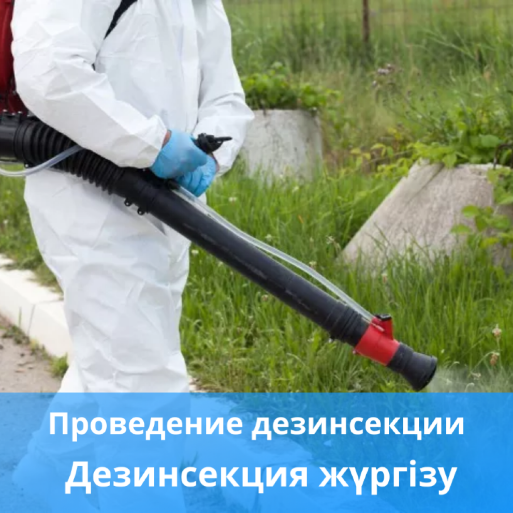 В Темиртау проведут работы по дезинсекции от комаров