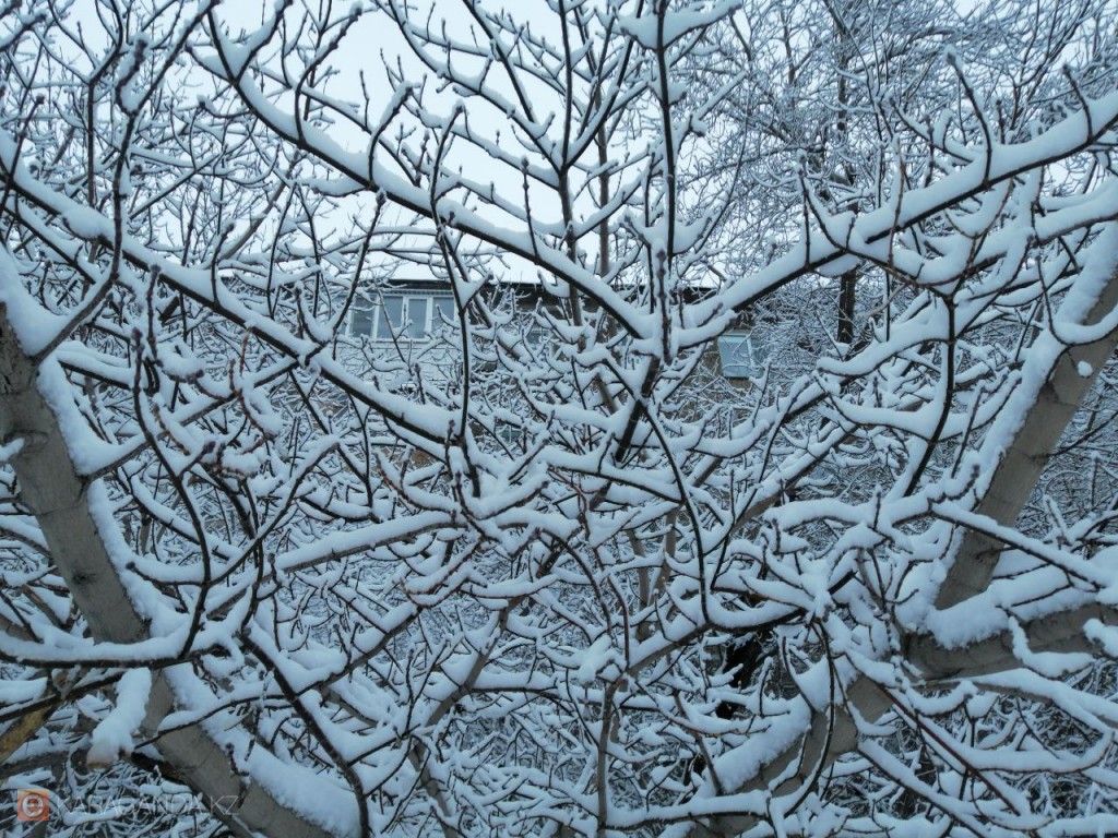 Ясное небо и морозы: какой будет погода в Караганде и области 20 февраля