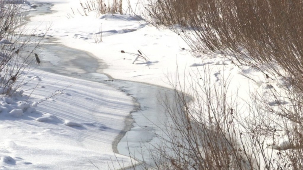 В Караганде возникли сложности с установлением причины излития сточных вод