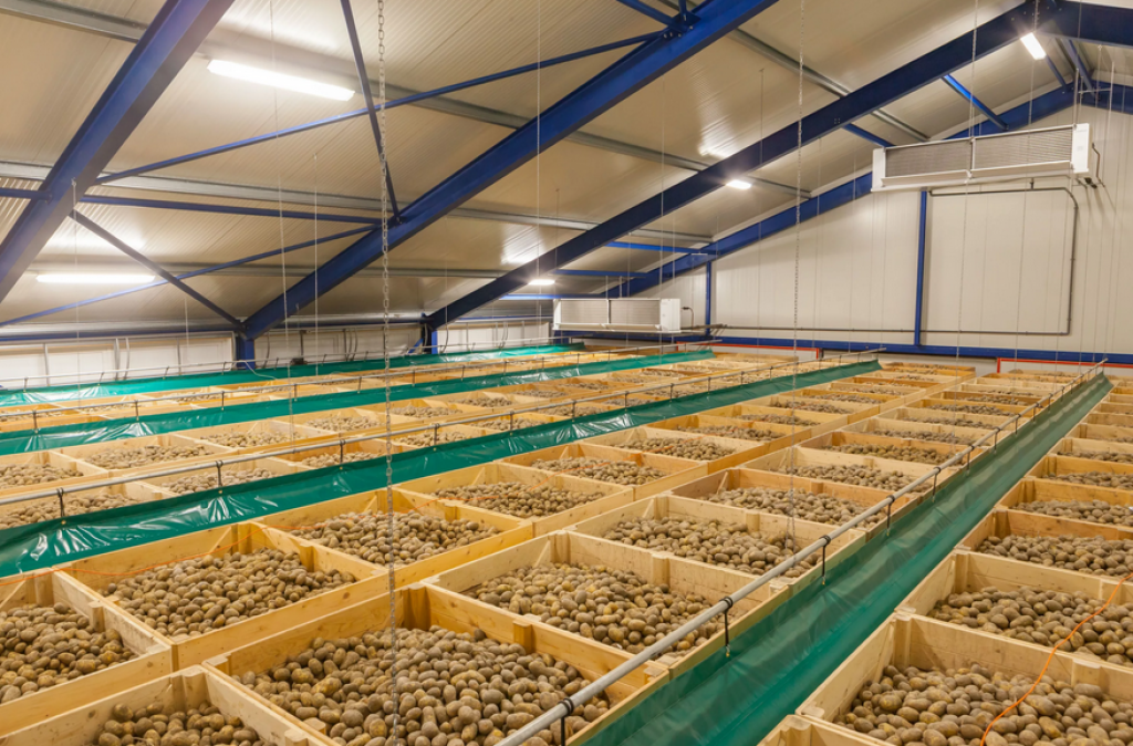 О состоянии овощехранилищ рассказали в Караганде