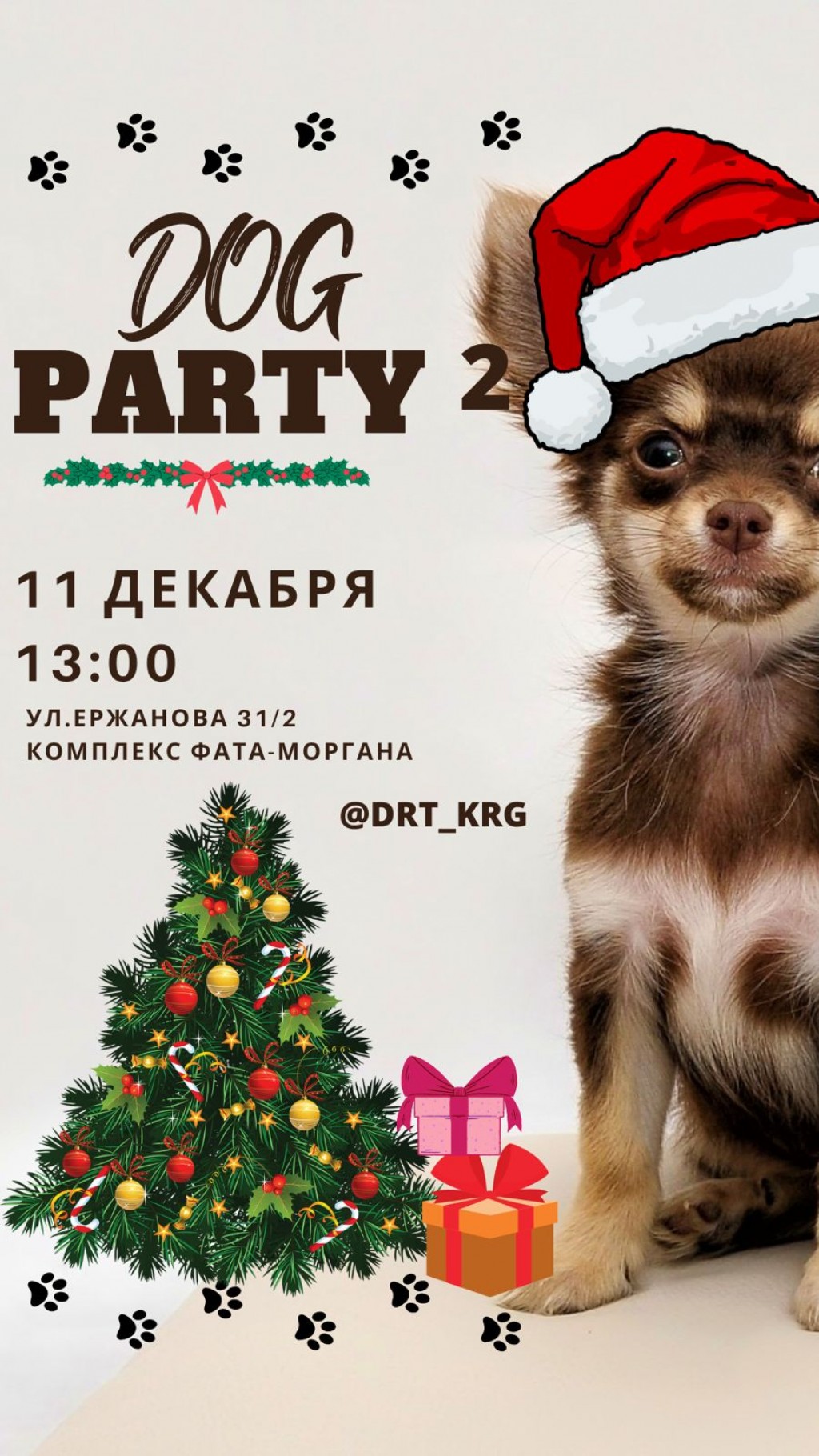 В Караганде снова пройдет «Dog Party»