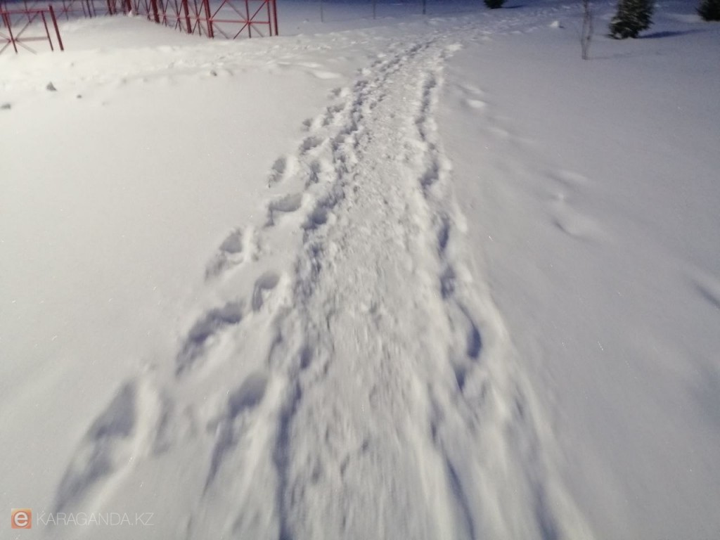 Морозный четверг в регионе — прогноз погоды на 29 января