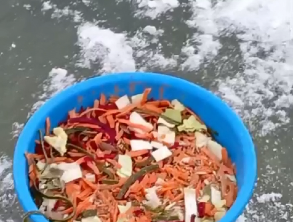 Операция «красный таз» и приключения лебедя: в Караганде продолжают спасать одинокую птицу