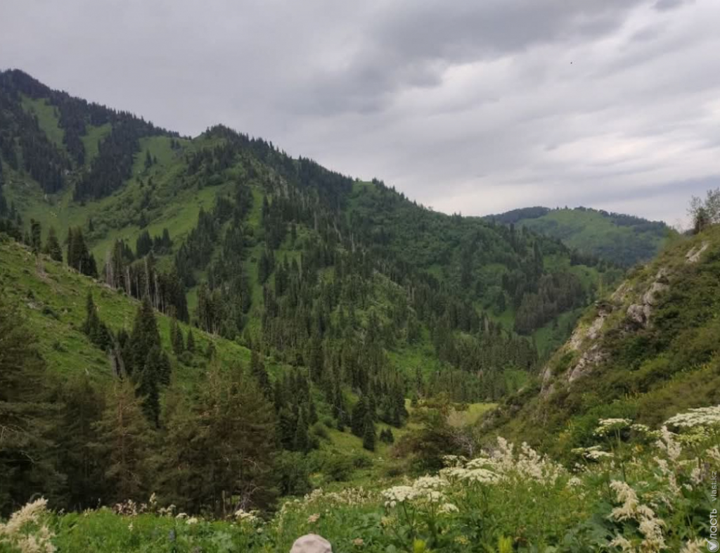 Законопроект, позволяющий отчуждение земель нацпарков для населенных пунктов, одобрил в первом чтении мажилис