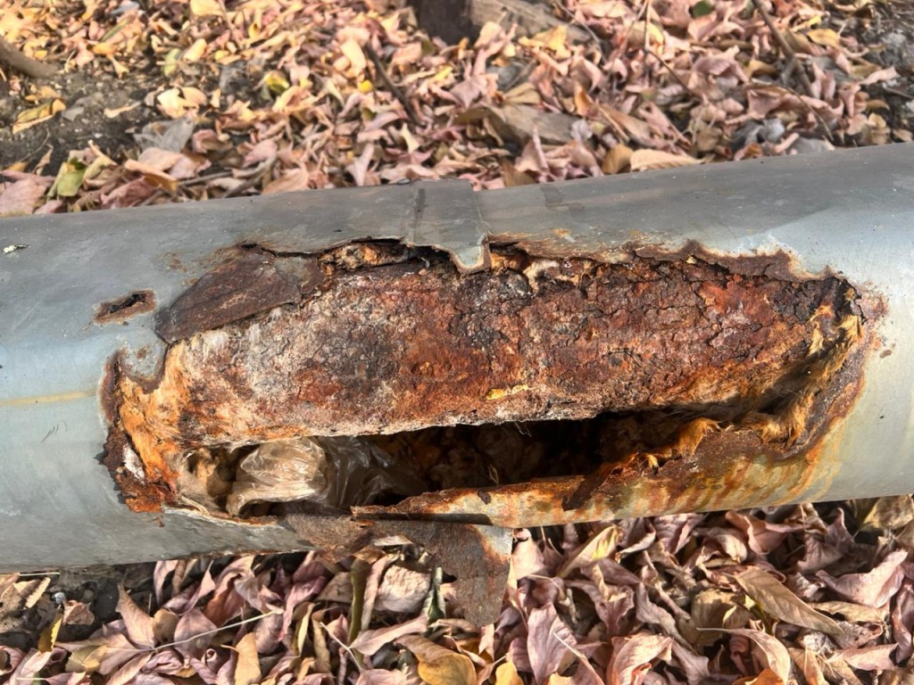 Анастасия Мельникованың жалаңаш суреті