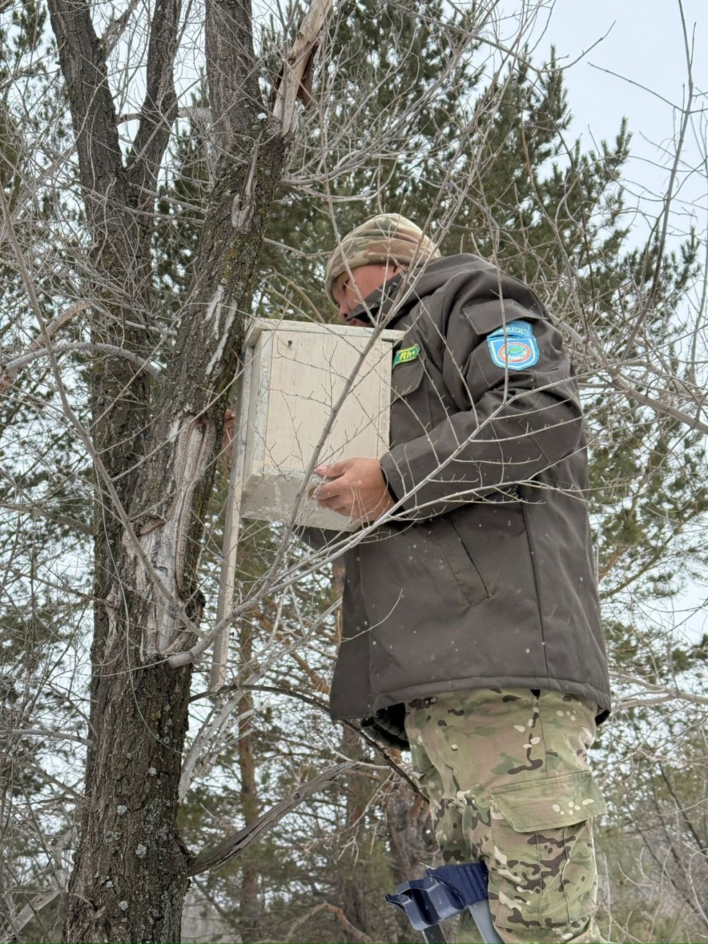 В лесах Карагандинской области устанавливают скворечники