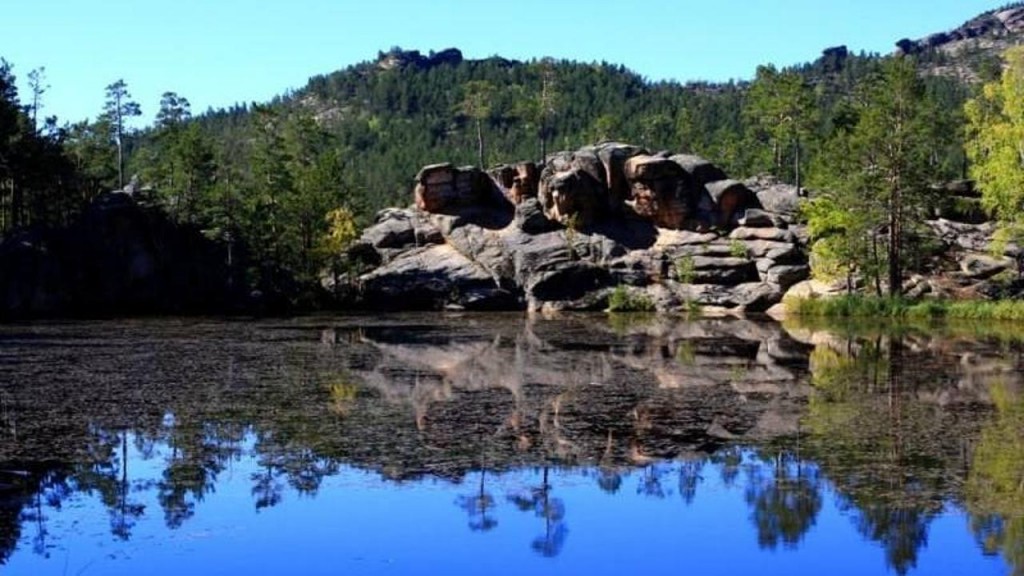 Экоотели и визит-центр: Каркаралинский нацпарк представил новые проекты для инвесторов