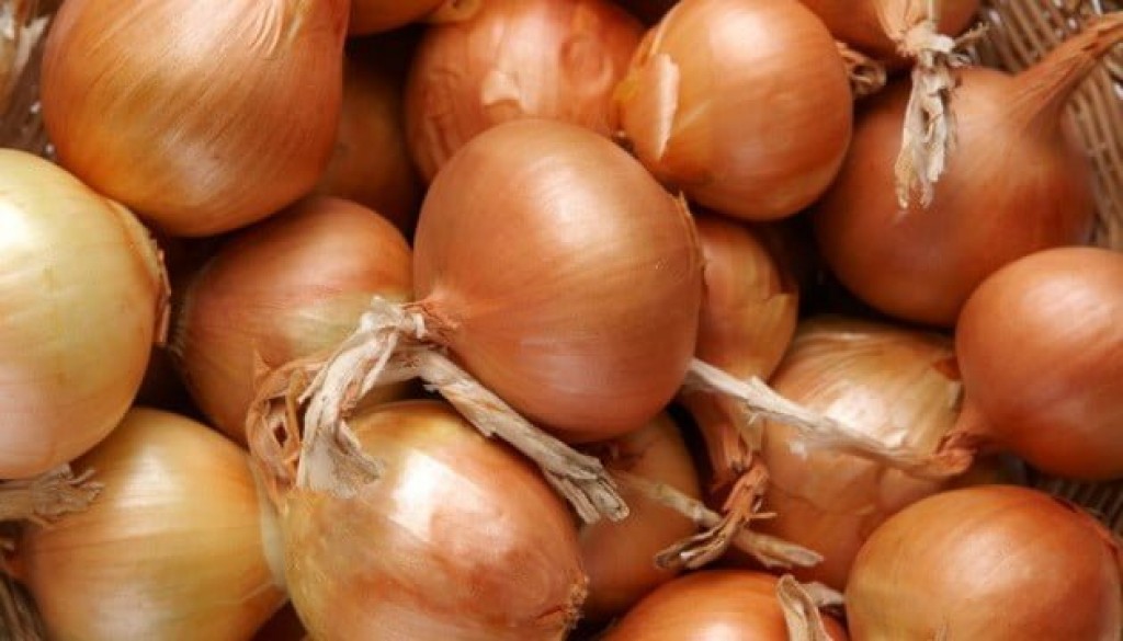 Как в Карагандинской области сдерживают цены на лук