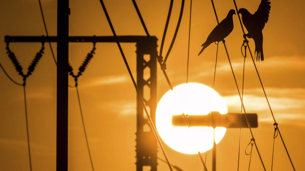 У кого в Караганде не будет электричества 31 января