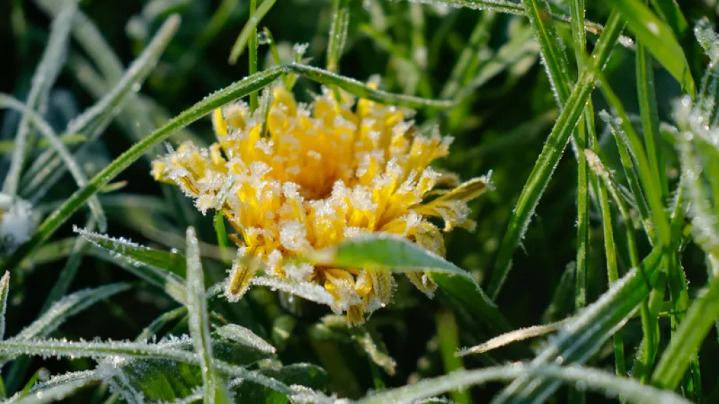 Заморозки и сильная жара одновременно накроют Казахстан 27-29 мая