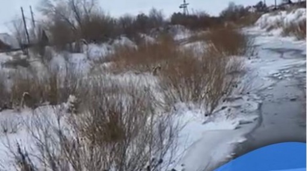 В Караганде произошел излив сточных вод в районе федоровских дач