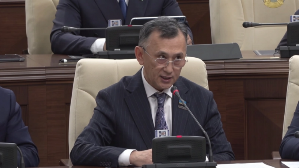 Карту вандалоопасных зон предложили создать в Казахстане