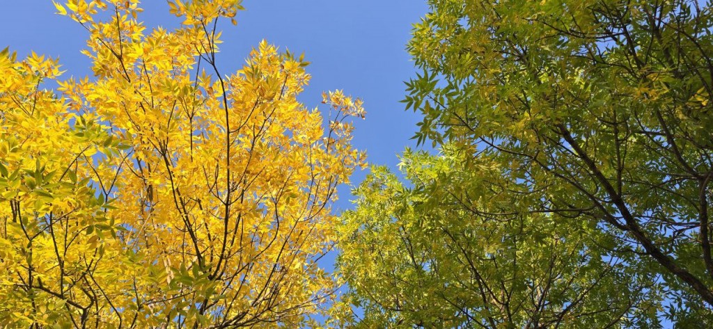 Синоптики прогнозируют резкое потепление в Казахстане после заморозков