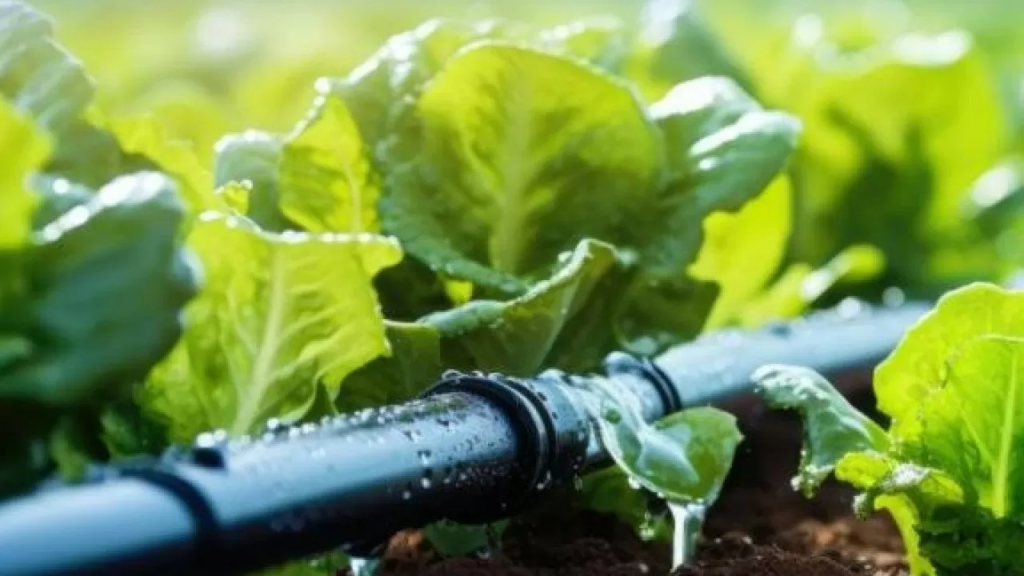 Қазақстанда суды заңсыз пайдаланғаны үшін 70 миллион теңге айыппұл салынды