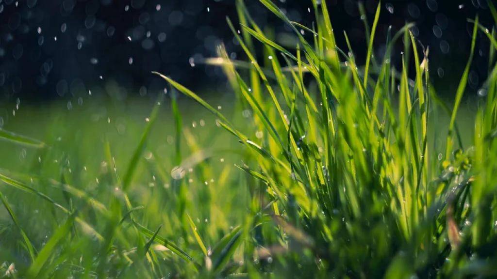 Майская жара до 44°С по Казахстану сменится дождями