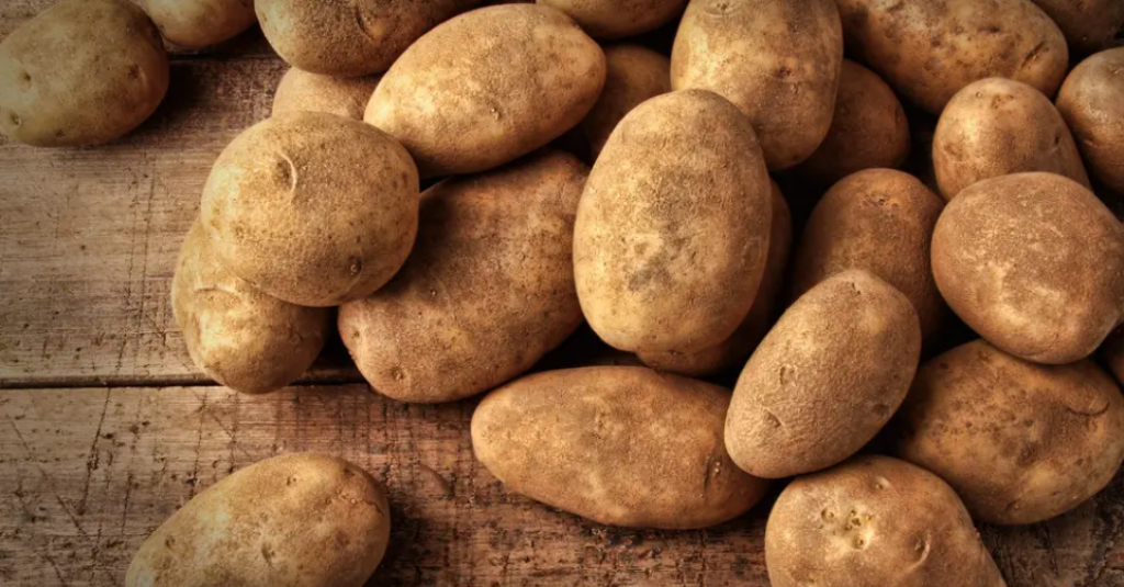 Мадагаскар глория ережесі 34