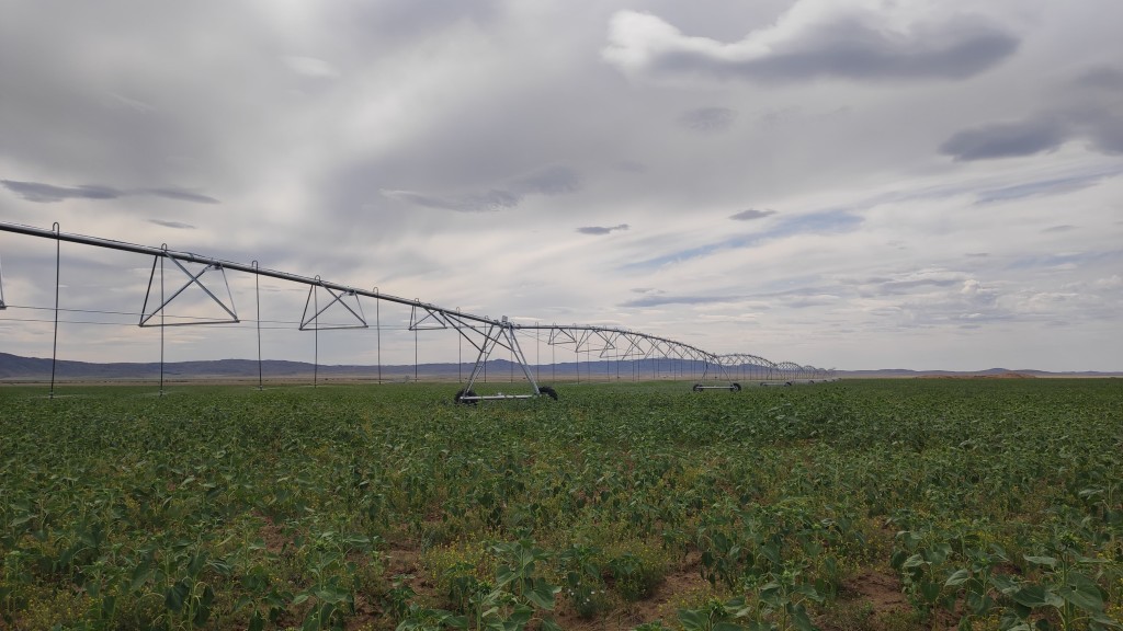 Договоры и оплата за поливную воду в Казахстане будут теперь только онлайн