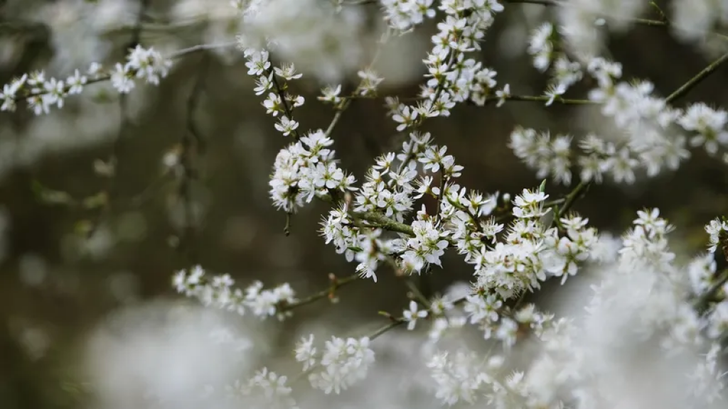 Казахстан ждет резкое похолодание в конце апреля