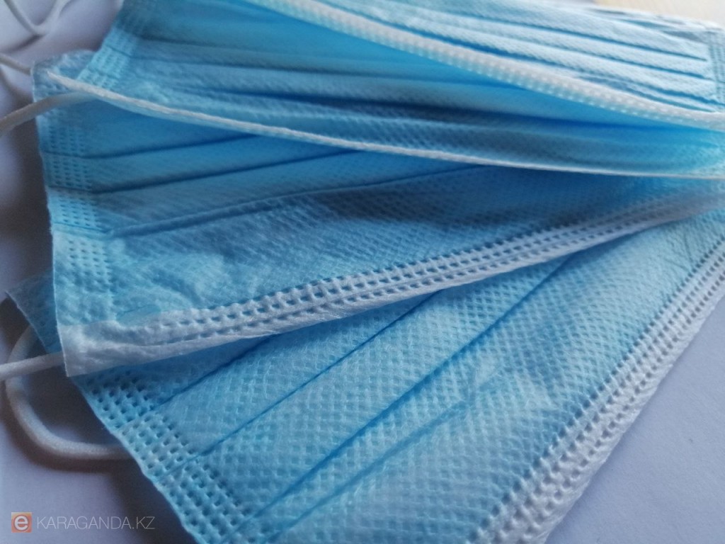 Туристов из Казахстана предупреждают о риске завоза вируса Нипах