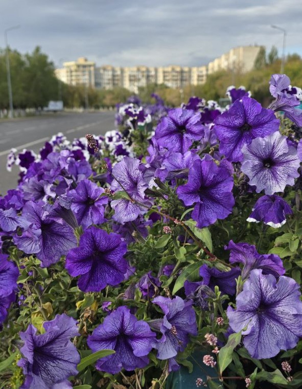 Ждать ли теплых дней в октябре — прогноз «Казгидромета»