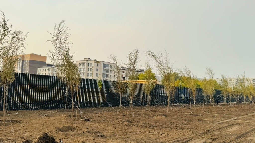 В Караганде высаживают деревья вдоль Спасского шоссе