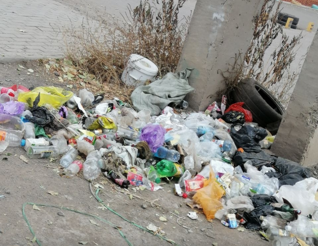 Единые правила помогут остановить рост стихийных свалок — депутат