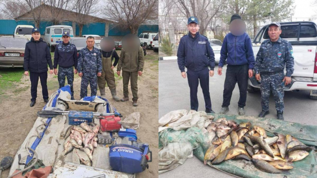 113 кг рыбы изъяли у браконьеров в Балхашском районе