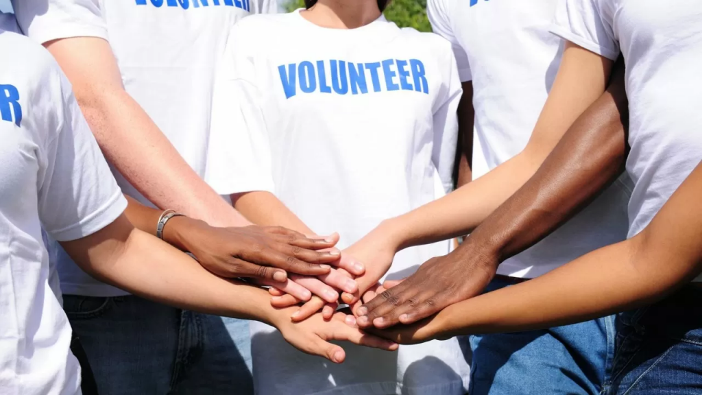 Как подавать данные в реестр учета волонтерской деятельности