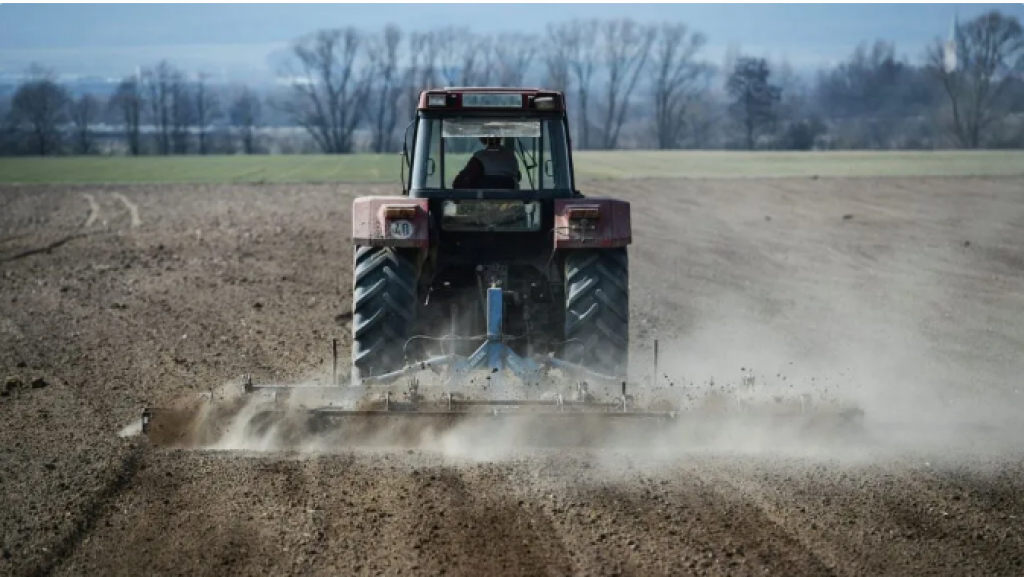 Казахстан продолжает сокращать посевную площадь пшеницы, риса и хлопка